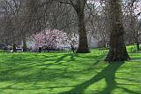 46-St.James Park,4 aprile 2010